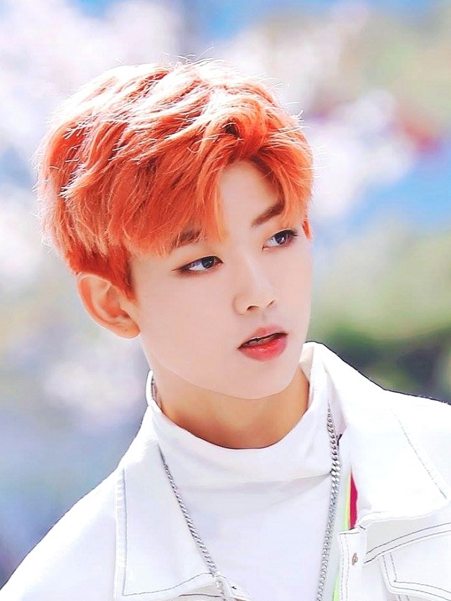 Jung Jinsung 1THE9 (정진성)