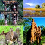 Taman Nasional Wasur