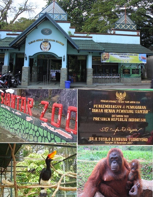 Taman Hewan Pematang Siantar DAFTAR.CO