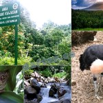 Taman Nasional Bogani Nani Wartabone Gorontalo