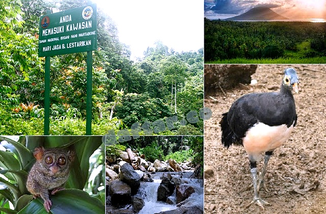 Taman Nasional Bogani Nani Wartabone Gorontalo