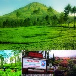 Agrowisata Tambi