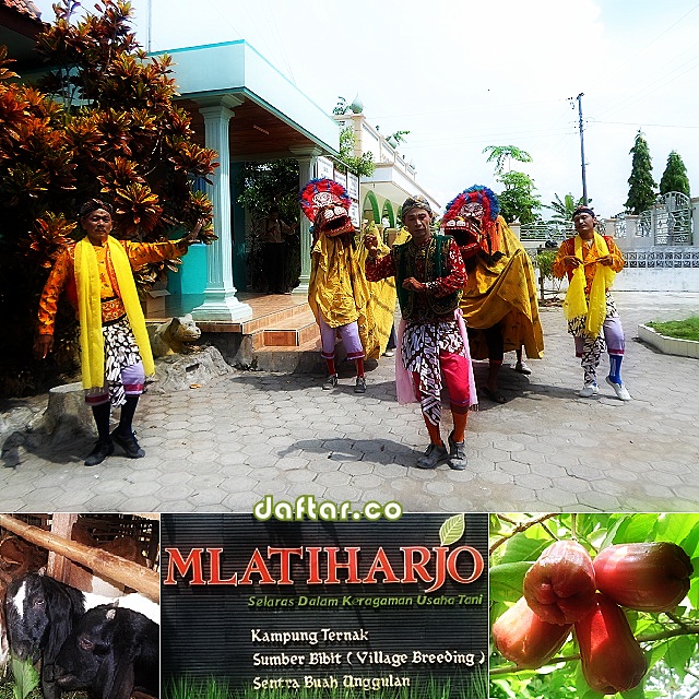 Agro Wisata Mlatiharjo