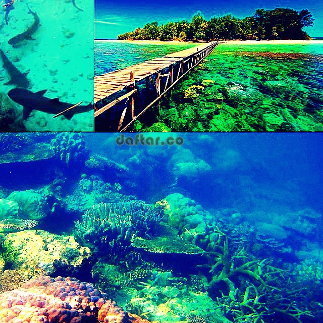 Wisata Karimunjawa